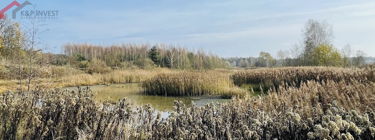 Połomia, śląskie, ,Działka,Sprzedaż,2432