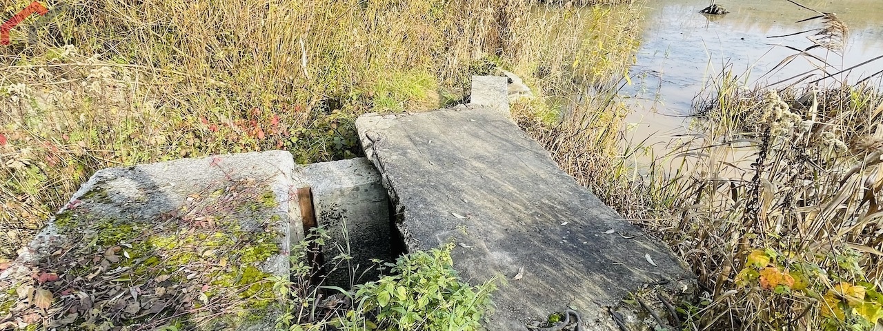 Połomia, śląskie, ,Działka,Sprzedaż,2432
