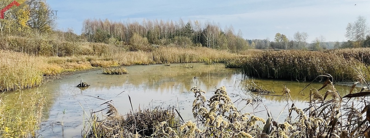 Połomia, śląskie, ,Działka,Sprzedaż,2432