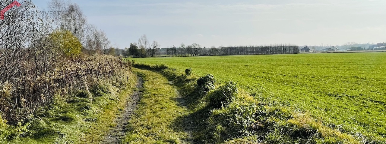 Połomia, śląskie, ,Działka,Sprzedaż,2432