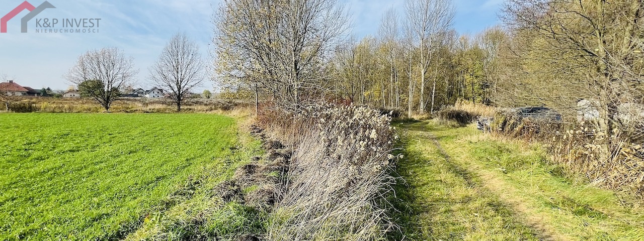 Połomia, śląskie, ,Działka,Sprzedaż,2432