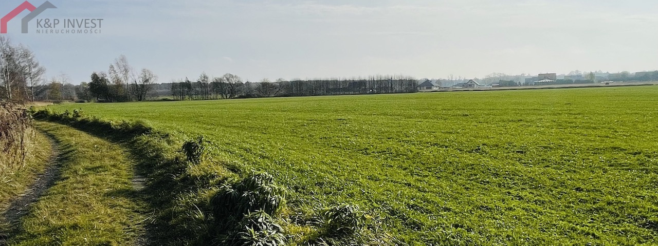 Połomia, śląskie, ,Działka,Sprzedaż,2432