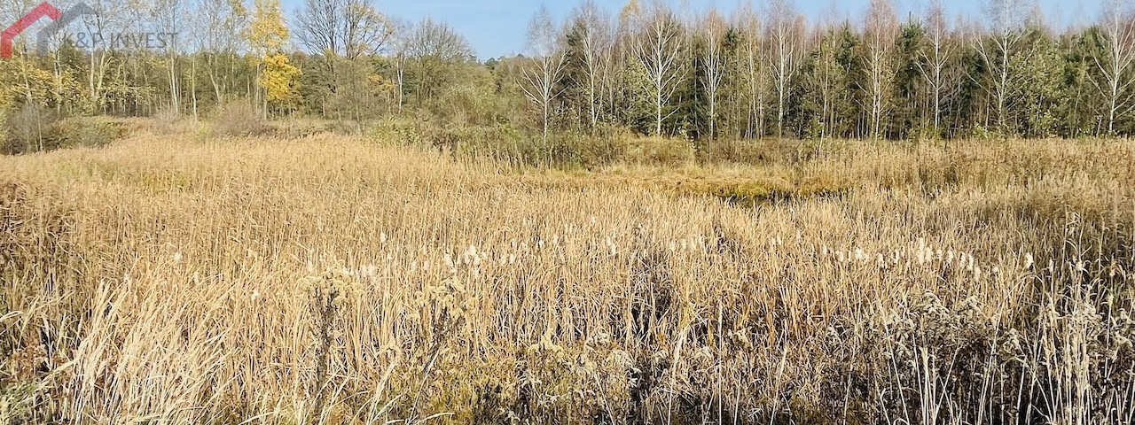 Połomia, śląskie, ,Działka,Sprzedaż,2432