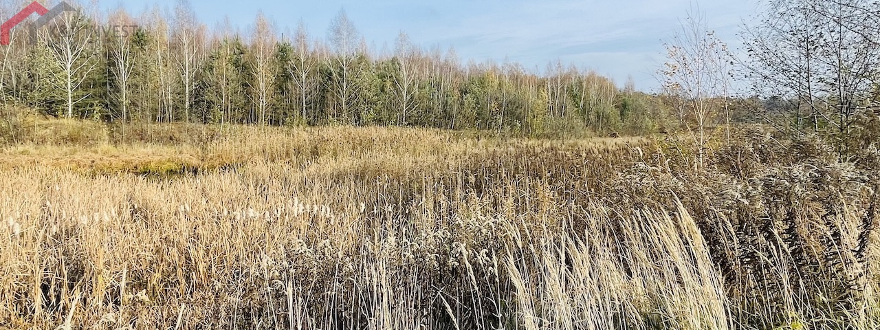 Połomia, śląskie, ,Działka,Sprzedaż,2432