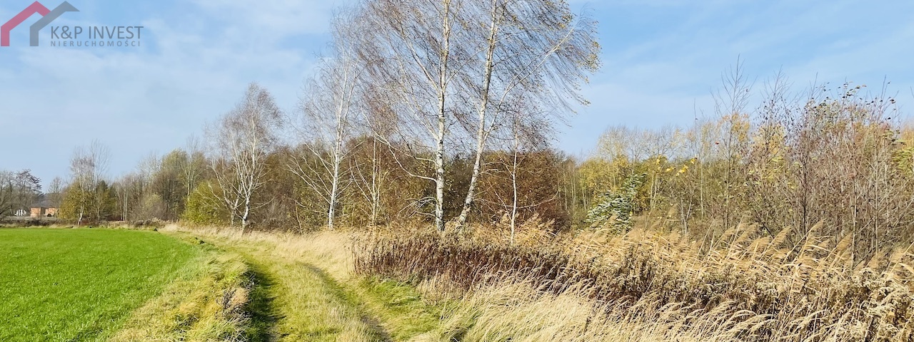 Połomia, śląskie, ,Działka,Sprzedaż,2432