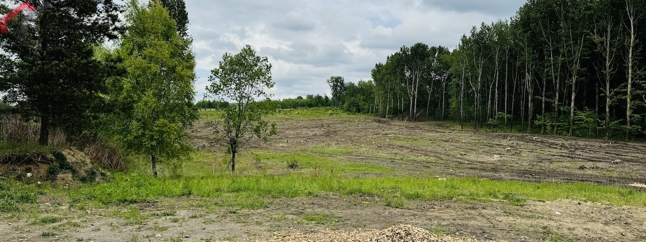 Radzionków, śląskie, ,Działka,Sprzedaż,2442