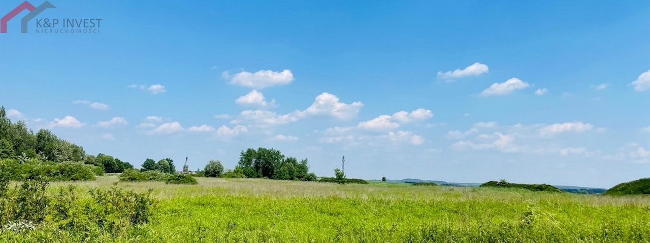 Piekary Śląskie, śląskie, ,Działka,Sprzedaż,2443