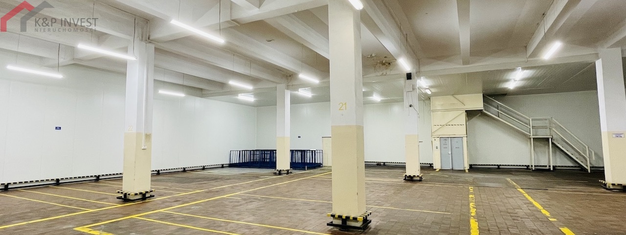Chorzów, śląskie, 0 , 0 ,0,Hala/magazyn,Sprzedaż,2444