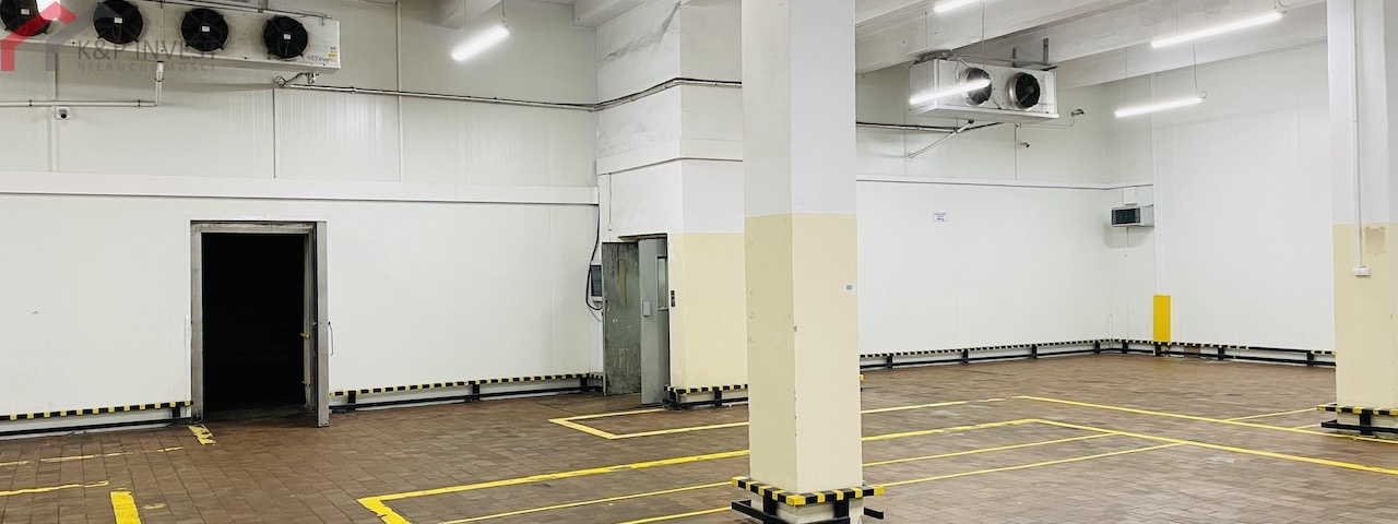 Chorzów, śląskie, 0 , 0 ,0,Hala/magazyn,Sprzedaż,2444