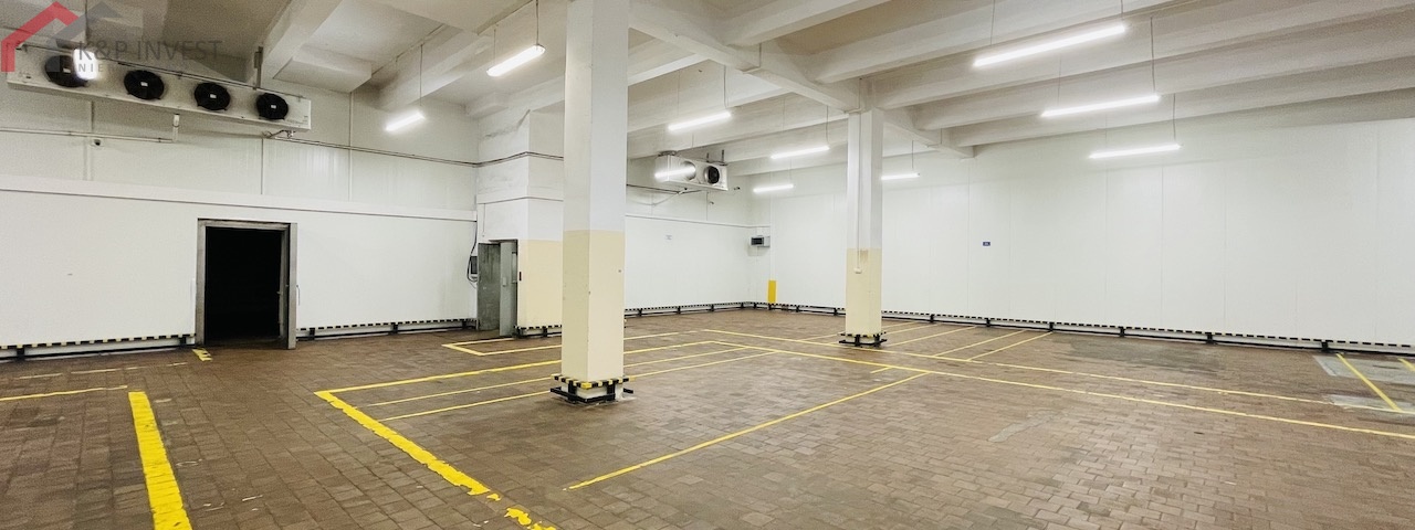 Chorzów, śląskie, 0 , 0 ,0,Hala/magazyn,Sprzedaż,2444