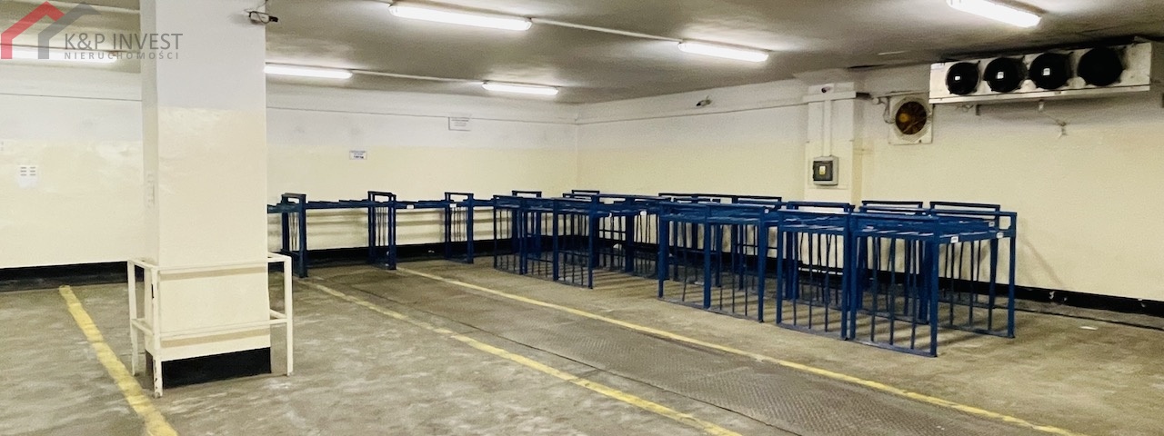 Chorzów, śląskie, 0 , 0 ,0,Hala/magazyn,Sprzedaż,2444