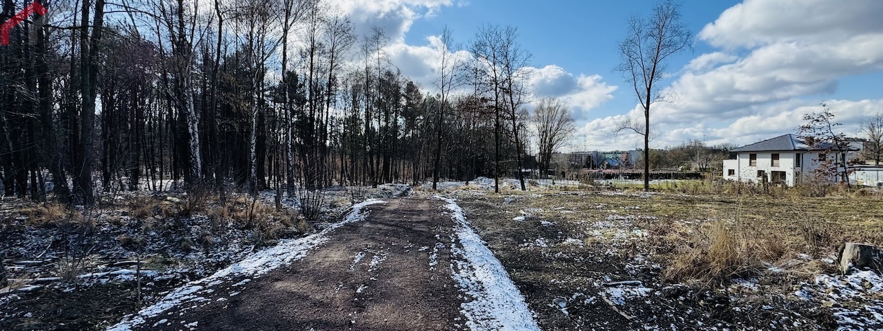 Bytom, śląskie, ,Działka,Sprzedaż,2445