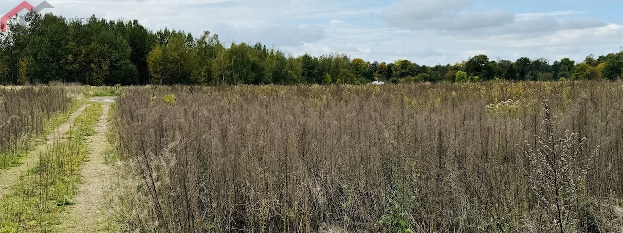 Zabrze, śląskie, ,Działka,Sprzedaż,2446