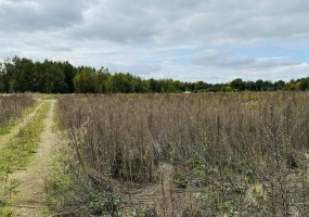 Zabrze, śląskie, ,Działka,Sprzedaż,2446