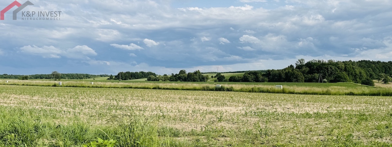 Ptakowice, śląskie, ,Działka,Sprzedaż,2498