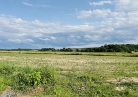 Ptakowice, śląskie, ,Działka,Sprzedaż,2498