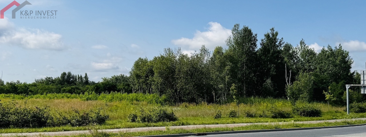 Ruda Śląska, śląskie, 0 , 0 ,0,Działka,Sprzedaż,2519
