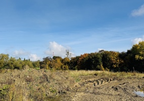 Bytom, śląskie, 0 , 0 ,0,Działka,Sprzedaż,2521