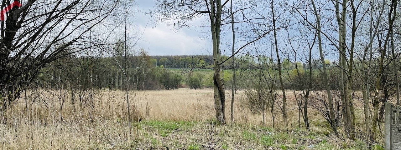 Radoszowska, Ruda Śląska, śląskie, ,Działka,Sprzedaż,Radoszowska,1784
