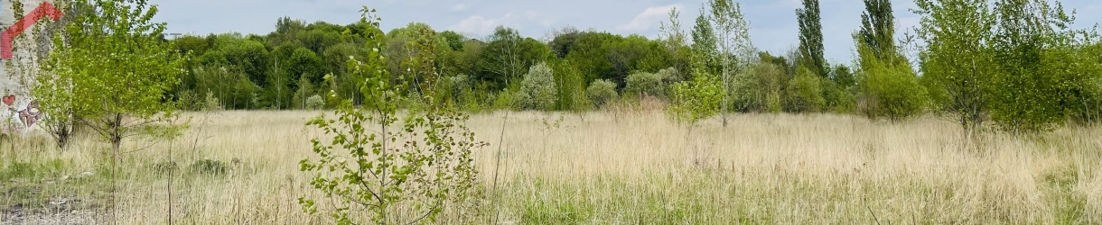 Piekary Śląskie, śląskie, ,Działka,Sprzedaż,2025