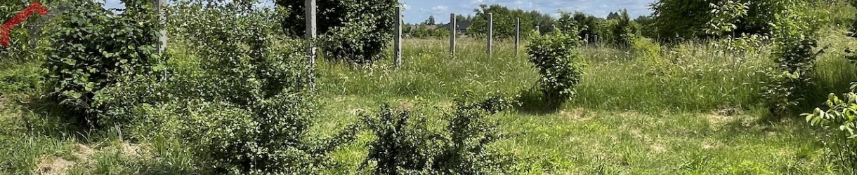 Tarnowskie Góry, śląskie, ,Działka,Sprzedaż,2114