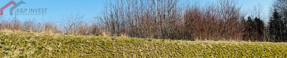 Radzionków, śląskie, ,Działka,Sprzedaż,2133