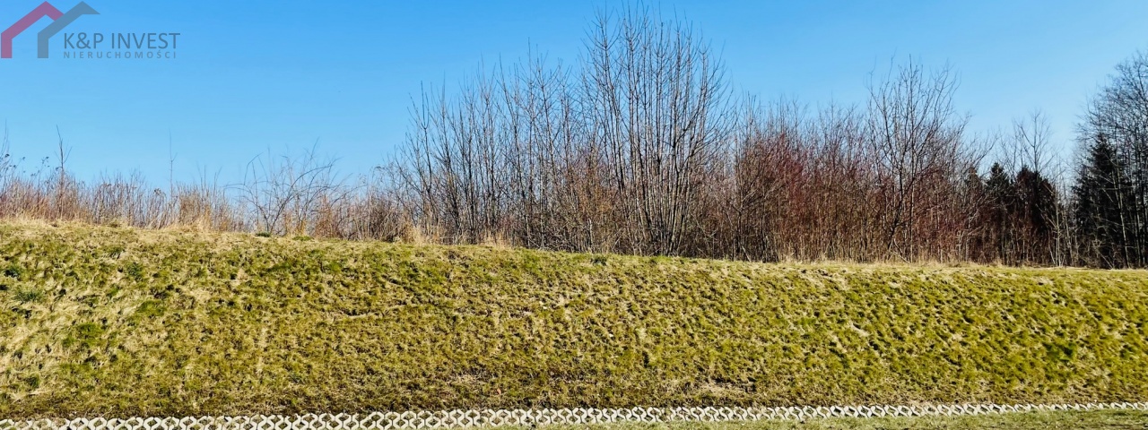 Radzionków, śląskie, ,Działka,Sprzedaż,2133