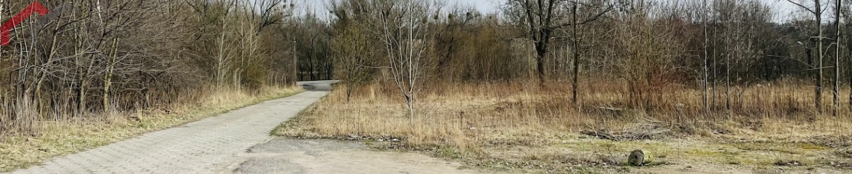 Bytom, śląskie, ,Działka,Sprzedaż,2219