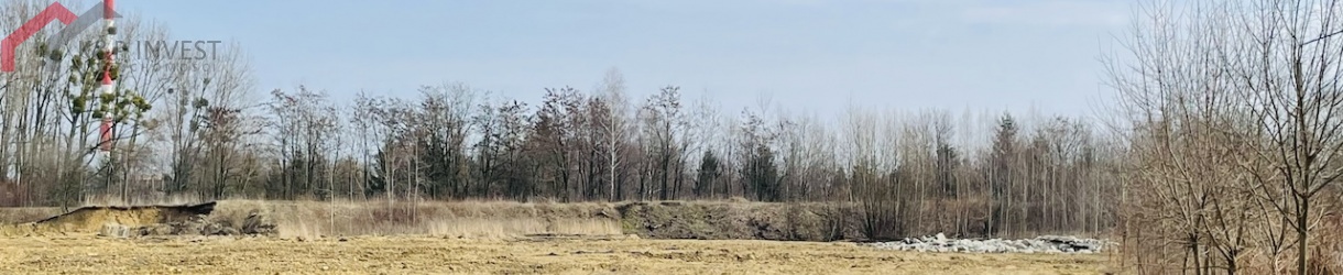 Bytom, śląskie, ,Działka,Sprzedaż,2221