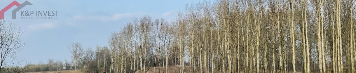 Radzionków, śląskie, ,Działka,Sprzedaż,2312