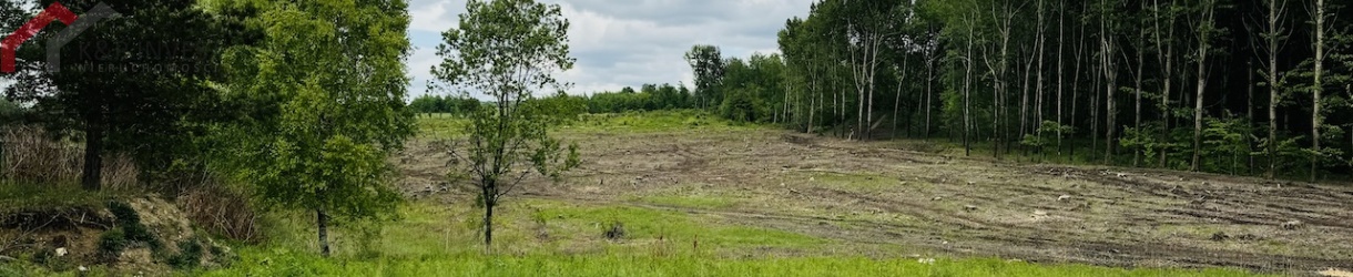 Radzionków, śląskie, ,Działka,Sprzedaż,2442