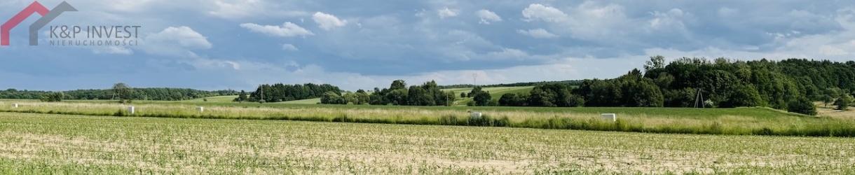 Ptakowice, śląskie, ,Działka,Sprzedaż,2498