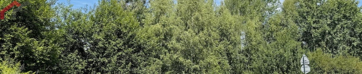Sosnowiec, śląskie, 0 , 0 ,0,Działka,Sprzedaż,2516