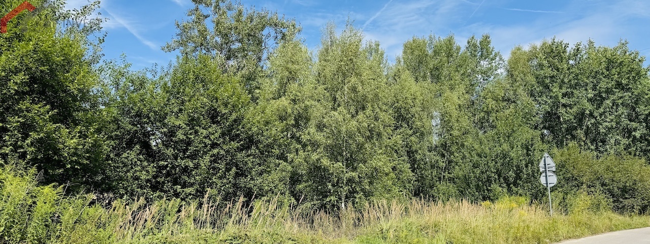 Sosnowiec, śląskie, 0 , 0 ,0,Działka,Sprzedaż,2516