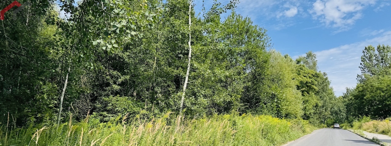 Sosnowiec, śląskie, 0 , 0 ,0,Działka,Sprzedaż,2516