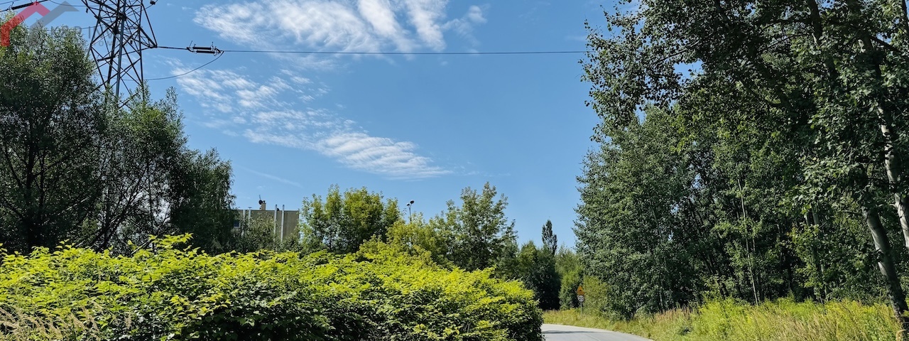Sosnowiec, śląskie, 0 , 0 ,0,Działka,Sprzedaż,2516