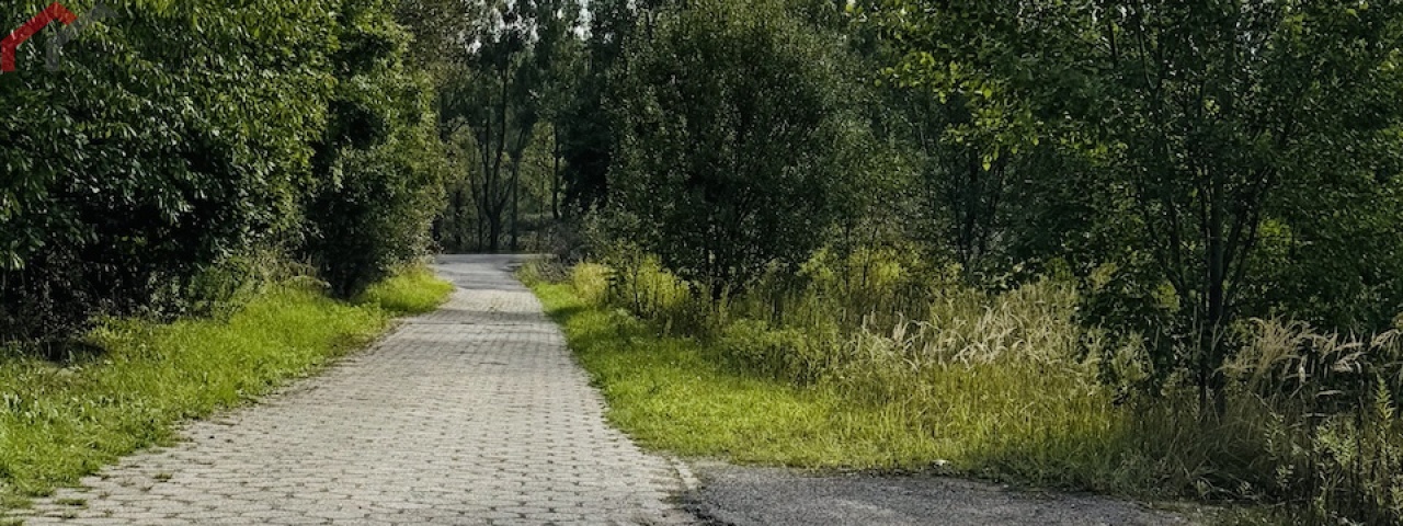 Bytom, śląskie, 0 , 0 ,0,Działka,Sprzedaż,2518