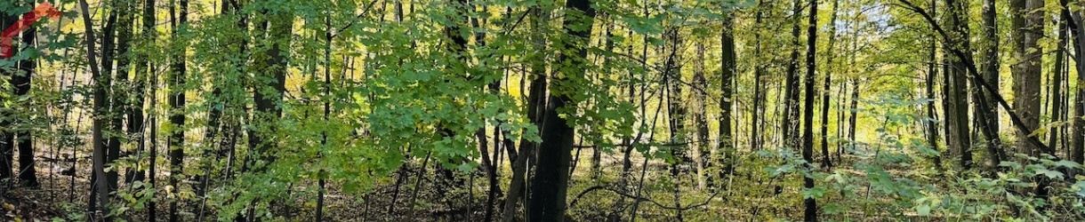 Bytom, śląskie, 0 , 0 ,0,Działka,Sprzedaż,2520