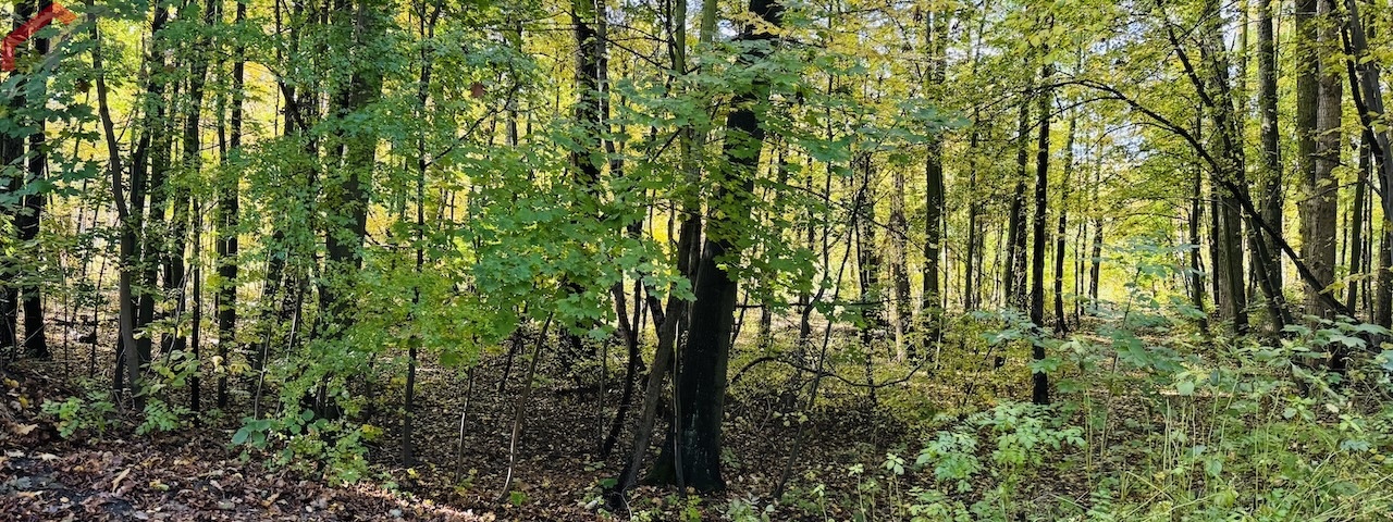 Bytom, śląskie, 0 , 0 ,0,Działka,Sprzedaż,2520