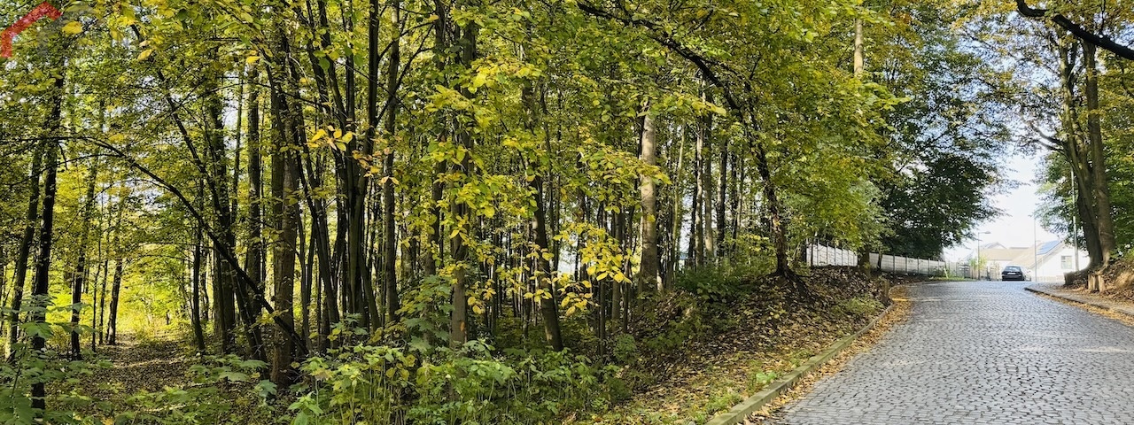 Bytom, śląskie, 0 , 0 ,0,Działka,Sprzedaż,2520