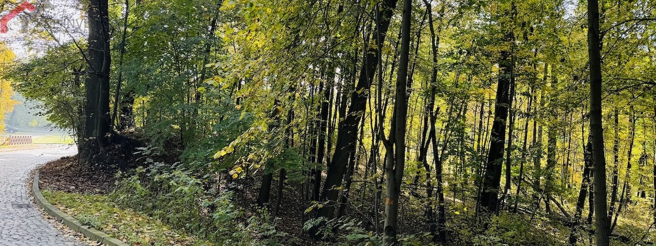 Bytom, śląskie, 0 , 0 ,0,Działka,Sprzedaż,2520