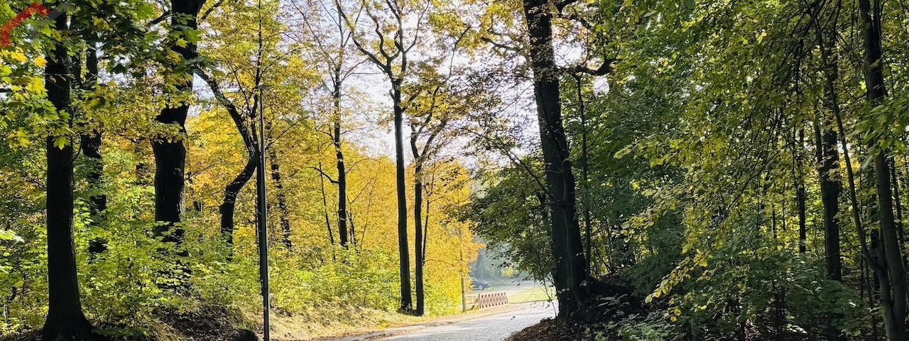 Bytom, śląskie, 0 , 0 ,0,Działka,Sprzedaż,2520