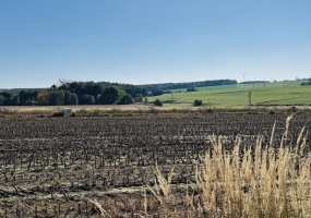 Ptakowice, śląskie, 0 , 0 ,0,Działka,Sprzedaż,2534 Ptakowice, śląskie, 0 , 0 ,0,Działka,Sprzedaż,2534