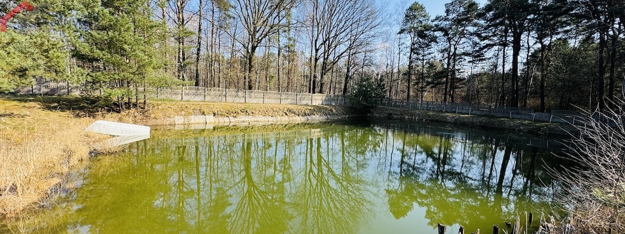 Edukacji Narodowej, Tarnowskie Góry, śląskie, 5 Bedrooms Bedrooms, 6 Rooms Rooms,3 BathroomsBathrooms,Dom,Sprzedaż,Edukacji Narodowej,2536