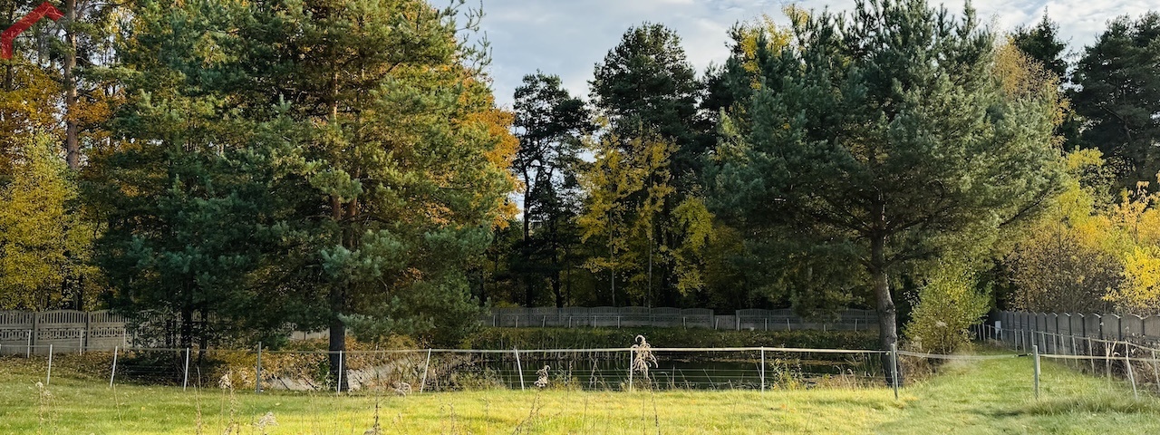 Edukacji Narodowej, Tarnowskie Góry, śląskie, 5 Bedrooms Bedrooms, 6 Rooms Rooms,3 BathroomsBathrooms,Dom,Sprzedaż,Edukacji Narodowej,2536