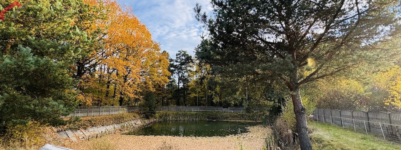 Edukacji Narodowej, Tarnowskie Góry, śląskie, 5 Bedrooms Bedrooms, 6 Rooms Rooms,3 BathroomsBathrooms,Dom,Sprzedaż,Edukacji Narodowej,2536