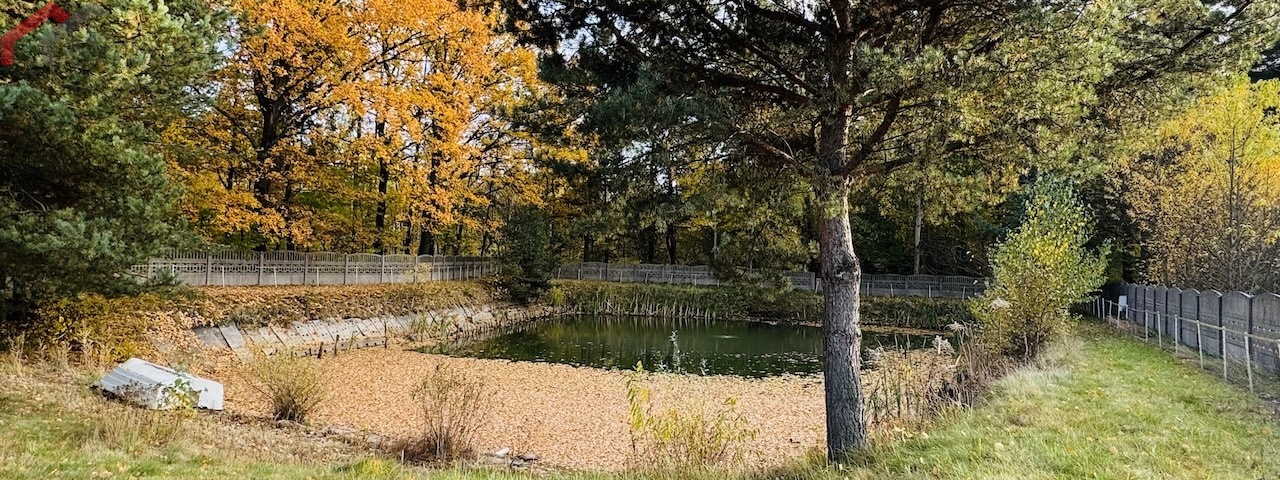 Edukacji Narodowej, Tarnowskie Góry, śląskie, 5 Bedrooms Bedrooms, 6 Rooms Rooms,3 BathroomsBathrooms,Dom,Sprzedaż,Edukacji Narodowej,2536