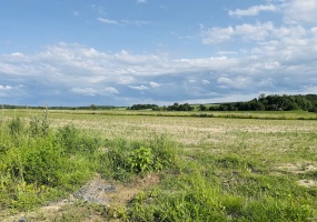 Ptakowice, śląskie, 0 , 0 ,0,Działka,Sprzedaż,2541 Ptakowice, śląskie, 0 , 0 ,0,Działka,Sprzedaż,2541
