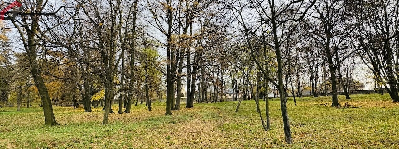 Świbie, śląskie, 0 , 0 ,0,Dom,Sprzedaż,2549
