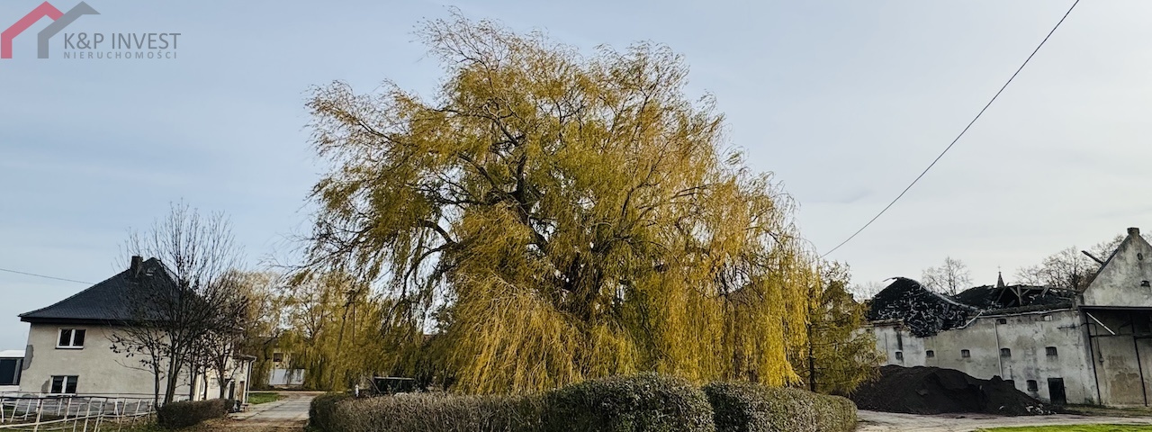Świbie, śląskie, 0 , 0 ,0,Dom,Sprzedaż,2549